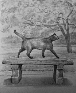 A cat on a stone bench
